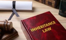 INTESTATE SUCCESSION